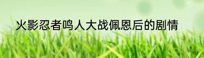 火影忍者鸣人大战佩恩后的剧情