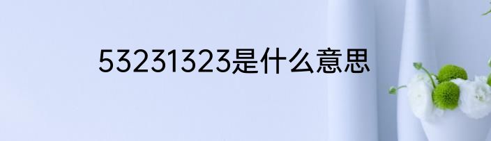 53231323是什么意思