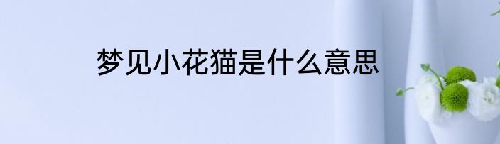 梦见小花猫是什么意思