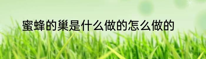 蜜蜂的巢是什么做的怎么做的