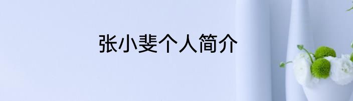 张小斐个人简介