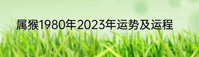 属猴1980年2023年运势及运程