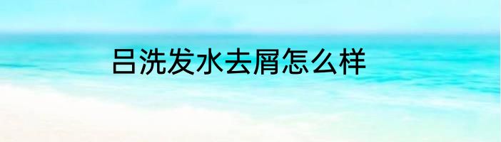 吕洗发水去屑怎么样