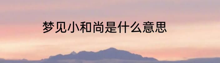 梦见小和尚是什么意思