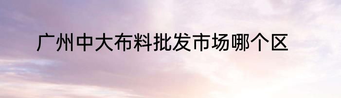 广州中大布料批发市场哪个区