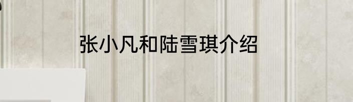 张小凡和陆雪琪介绍