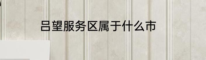 吕望服务区属于什么市