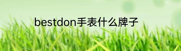 bestdon手表什么牌子