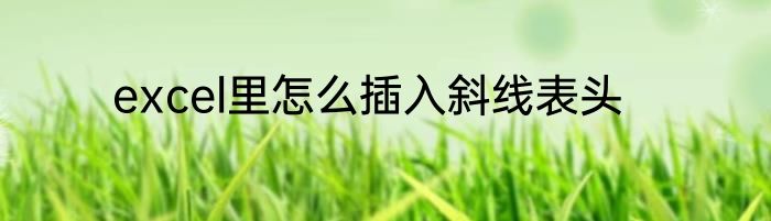 excel里怎么插入斜线表头