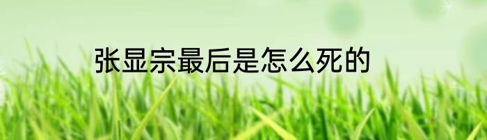 张显宗最后是怎么死的