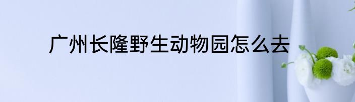 广州长隆野生动物园怎么去