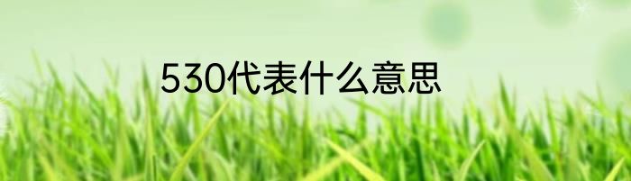530代表什么意思