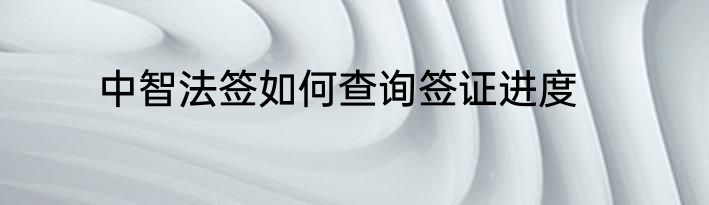 中智法签如何查询签证进度