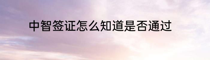中智签证怎么知道是否通过
