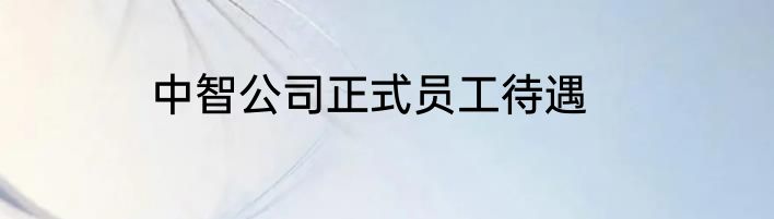 中智公司正式员工待遇