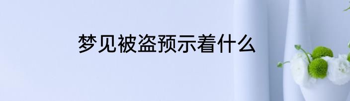 梦见被盗预示着什么