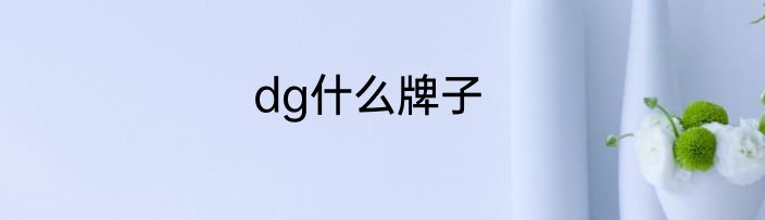 dg什么牌子