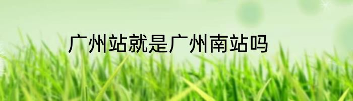 广州站就是广州南站吗