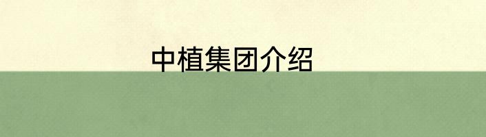 中植集团介绍