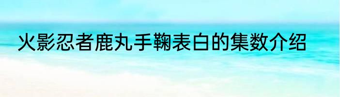火影忍者鹿丸手鞠表白的集数介绍