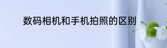 数码相机和手机拍照的区别