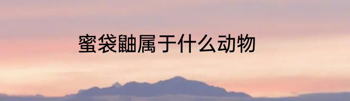 蜜袋鼬属于什么动物