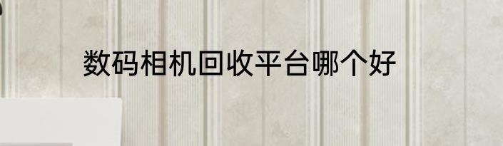 数码相机回收平台哪个好