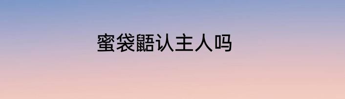 蜜袋鼯认主人吗