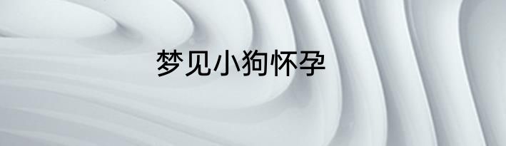 梦见小狗怀孕