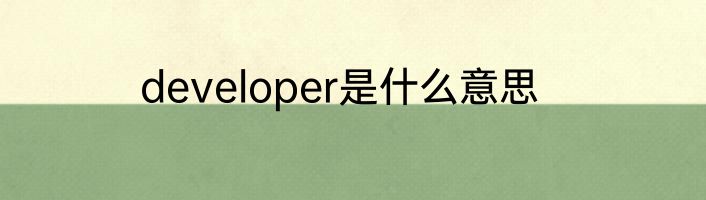 developer是什么意思