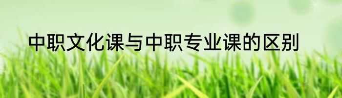 中职文化课与中职专业课的区别