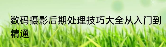 数码摄影后期处理技巧大全从入门到精通