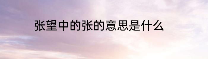 张望中的张的意思是什么