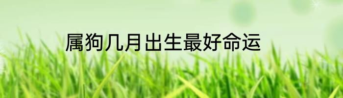 属狗几月出生最好命运
