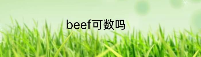 beef可数吗