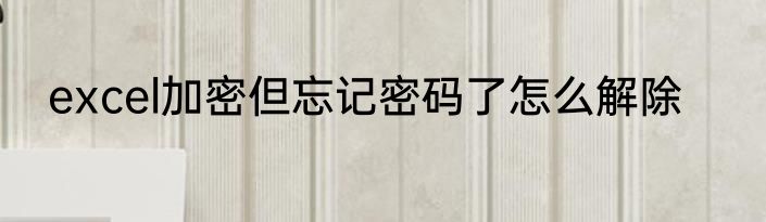 excel加密但忘记密码了怎么解除