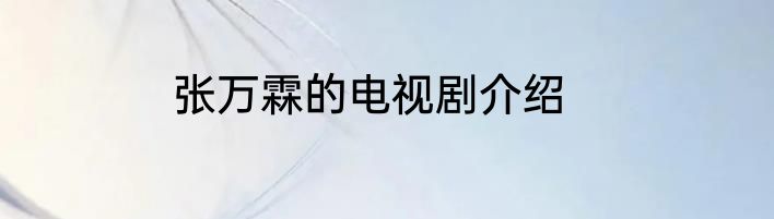 张万霖的电视剧介绍