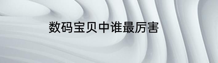 数码宝贝中谁最厉害