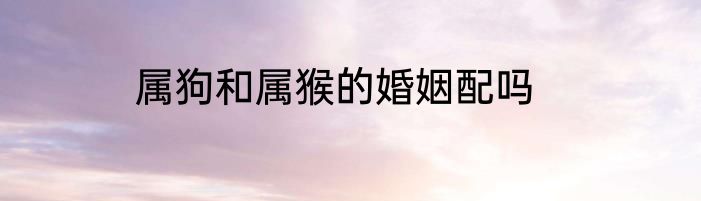 属狗和属猴的婚姻配吗