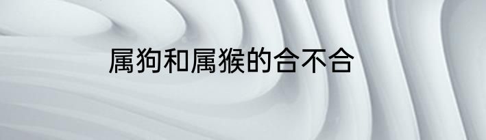 属狗和属猴的合不合