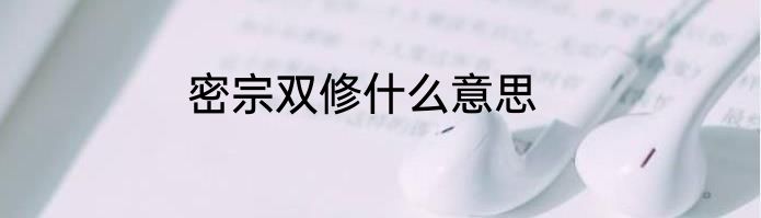 密宗双修什么意思