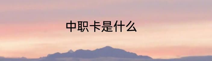 中职卡是什么