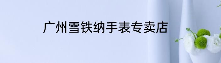广州雪铁纳手表专卖店