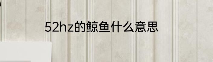 52hz的鲸鱼什么意思