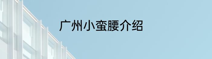 广州小蛮腰介绍
