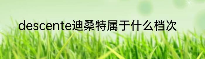 descente迪桑特属于什么档次