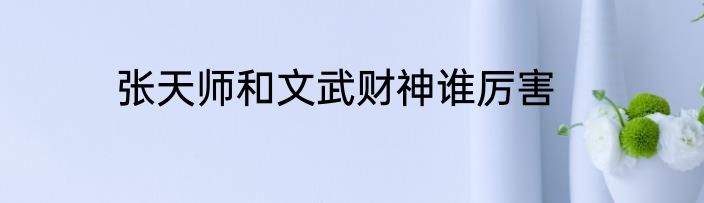 张天师和文武财神谁厉害