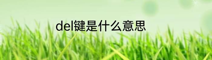 del键是什么意思