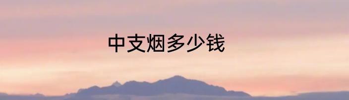 中支烟多少钱