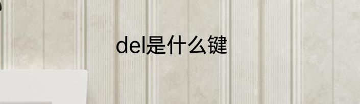 del是什么键